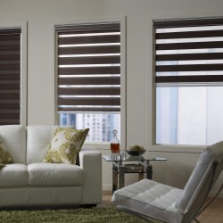 zebra-blinds-puchong-supplier(5)